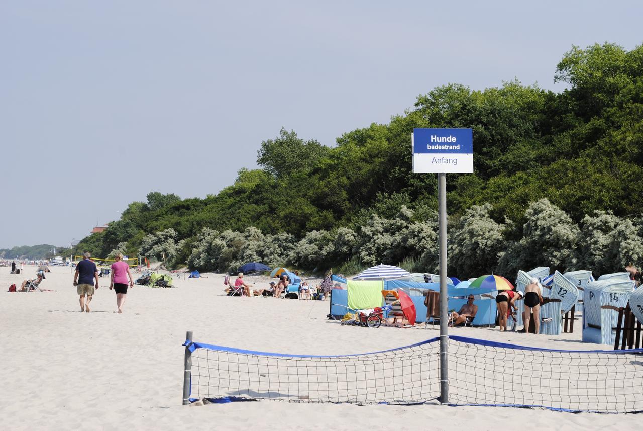 Fewo Schwalbennest Am Meer-Exklusiv-Eigener Strandzugang Kuehlungsborn Exterior photo